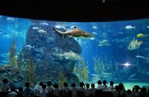 SEA LIFE & Madame Tussauds: Ultimate Bangkok Combo Ticket