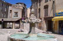 Lavender Small-Group Tour In Valensole from Marseille