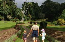 Private Kandy Day Tour from Colombo