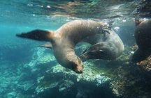 Full Day Santa Fe & " Playa escondida" snorkeling tour