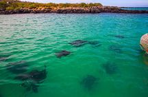 Full Day Santa Fe & " Playa escondida" snorkeling tour