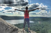 Algonquin Provincial Park Day Tour from Toronto