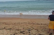 From Colombo: Full-Day Galle Tour