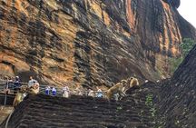 Sigiriya Dambulla Day Tour From Marawila