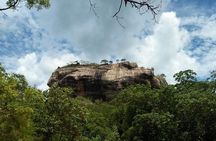 Sigiriya Dambulla Day Tour From Marawila