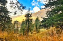 Cedars, Bsharre & Kozhaya Day Tour
