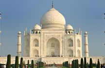 Taj Mahal, Agra Fort & Baby Taj from Delhi by Car : All Inclusive