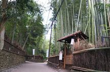 Kyoto and Nara Fully Satisfying Two-Day Walking Tour