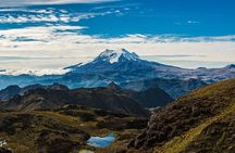 Papallacta Pass - Cayambe Coca National Park & Guango Cloud Forest Reserve 