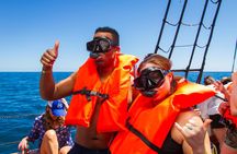 Treasure Hunt Snorkeling Lunch Cruise from Cabo San Lucas