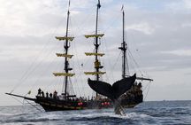 Whale-Watching Pirate Ship Cruise in Los Cabos
