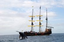 Whale-Watching Pirate Ship Cruise in Los Cabos