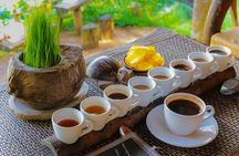 Penglipuran Traditional Village Tour with Swing, Rice Terrace, and Temple