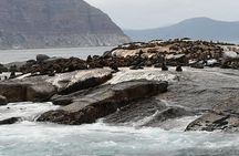 Private Tour: Cape of Good Hope Cape Point Penguins Kirstenbosch