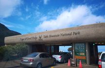 Private Cape of Good Hope Cape Point Penguins KirstenboschTour.