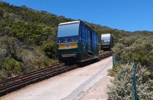 Private Cape of Good Hope and Penguins tour from Stellenbosch. 