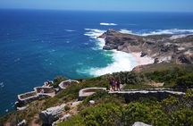 Private Cape of Good Hope Cape Point Penguins KirstenboschTour.