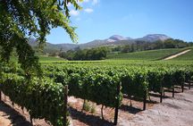 Cape Winelands Stellenbosch Franschhoek Paarl Tour from Cape Town