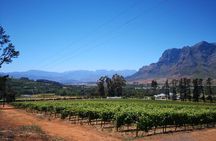 Cape Winelands Stellenbosch Franschhoek Paarl Tour from Cape Town