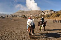 Bromo Sunrise Tour 2 Days 1 Private Tour