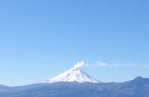 Cotopaxi Volcano (PRIVATE Day Trip from Quito)