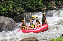 Ubud Rafting With Private Return Transport