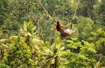 Ubud Bali Swing Tour All Inclusive 