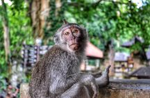 Cretya Ubud and Monkey Forest Sanctuary Tours