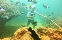 Bali Parasailing Adventure