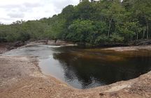 Amazing Waterfalls of the Amazon - Presidente Figueiredo