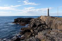 Private Day Tour from Höfn - The Eastfjords
