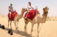 Combo Tour - Dubai Desert Safari and Dhow Cruise Dinner 