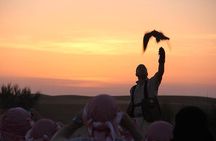 Private Desert Safari with Private Falcon Show with Sunset setup experience