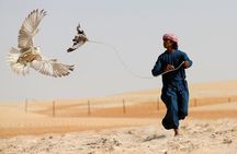 Private Desert Safari with Private Falcon Show with Sunset setup experience
