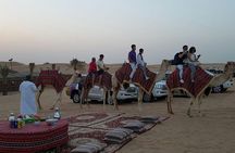 Dubai Camel Caravan with BBQ Dinner Buffet