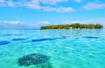 Mauritius South Tour Including Blue Bay Glass Bottom Boat & Snorkelling
