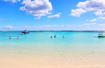 Swim With Wild Dolphins and Visit 4 Beaches in the North