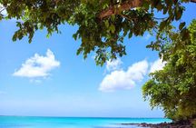 Visit 4 Beaches in the North Including Mont Choisy & Pereybere