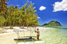 Swim with Wild Dolphins & Benitiers Island With Lunch & Transport
