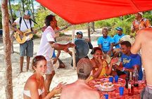 Swim with Wild Dolphins & Benitiers Island With Lunch & Transport