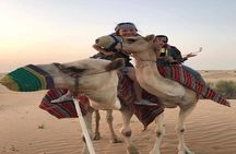 Arabian Desert Experience In Dubai 