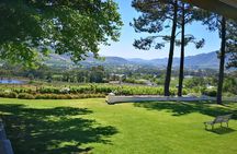 Private Cape Winelands from Stellenbosch OR Franschhoek OR Paarl