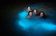 Luminous Lagoon Small Group Tour from Ocho Rios