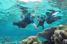 Premium Catamaran Afternoon Sail: Snorkeling and Lunch