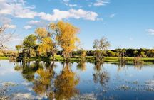 Terelj National park, Chinggis Khan statue and 13th century park
