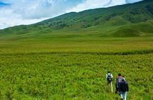 Bromo Tour Package: Midnight Bromo Open Trip from Malang