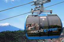 Tokyo: Hakone Fuji Day Tour w/ Cruise, Cable Car, Volcano