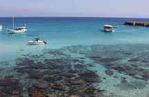 Cruise and 4X4 Safari Tour at Akamas Peninsula from Limassol