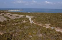 Cruise and 4X4 Safari Tour at Akamas Peninsula from Limassol