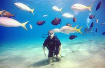 Discover Scuba Diving